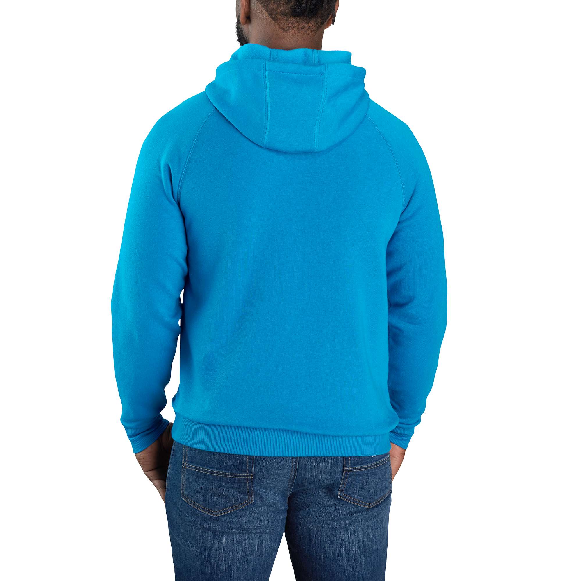Force Relaxed Fit Lightweight Logo Graphic Sweatshirt | Carhartt