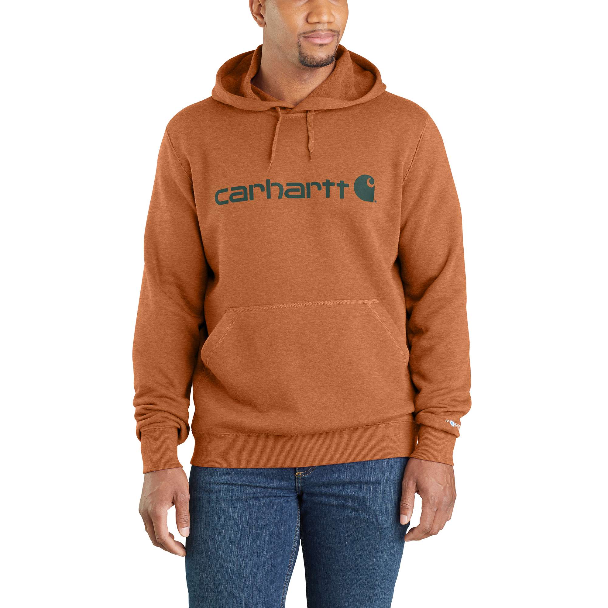 Carhartt men's force delmont signature graphic hooded sweatshir sale